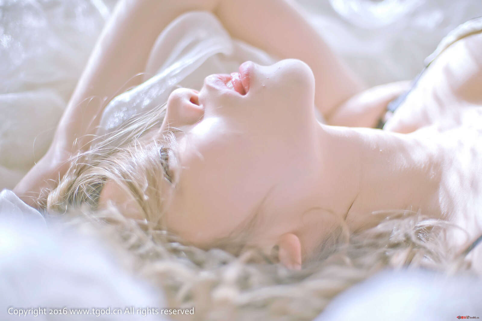 https://www.lss77.com/wp-content/uploads/2019/05/41-88-1600x1065.jpg
