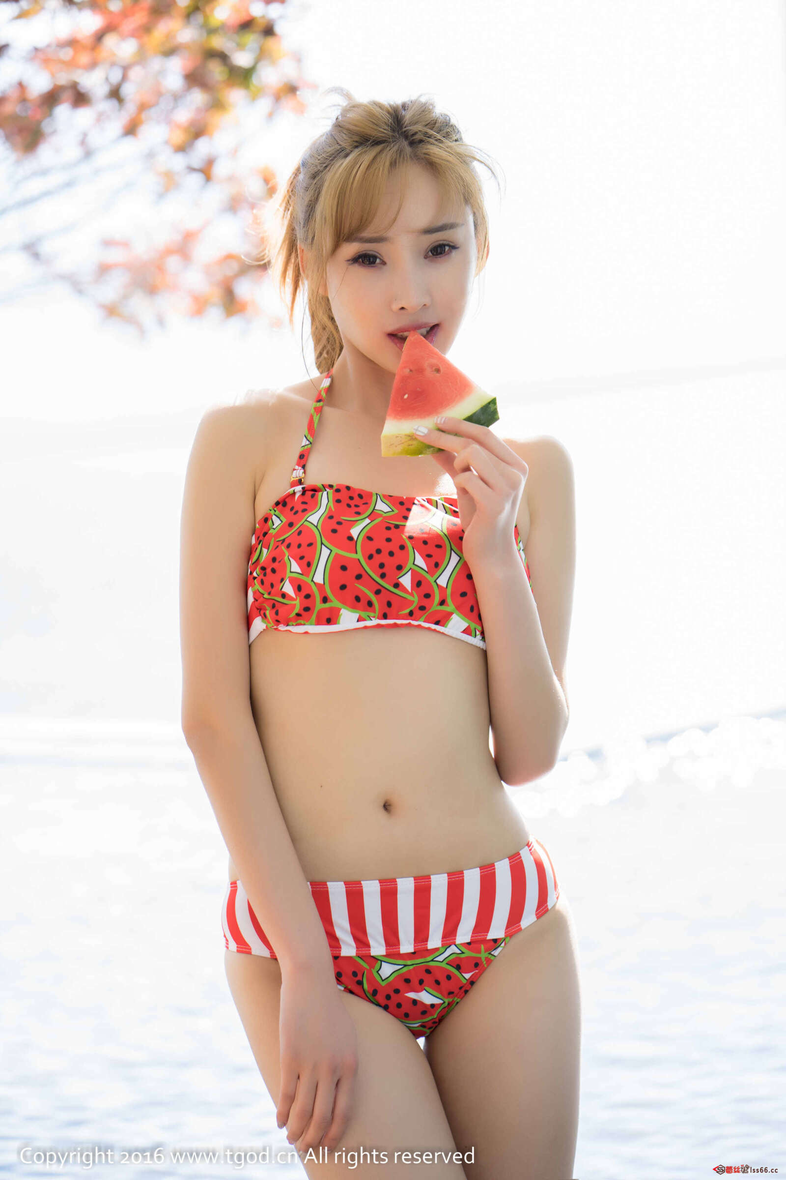 https://www.lss77.com/wp-content/uploads/2019/05/43-83-1600x2400.jpg