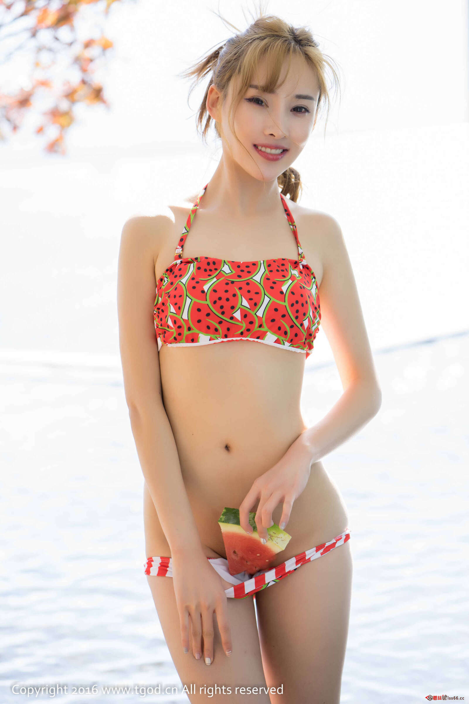 https://www.lss77.com/wp-content/uploads/2019/05/45-80-1600x2400.jpg