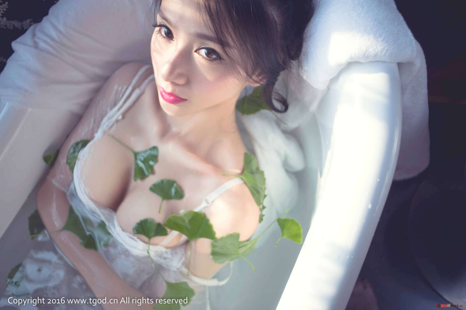 https://www.lss77.com/wp-content/uploads/2019/05/46-78-1600x1065.jpg