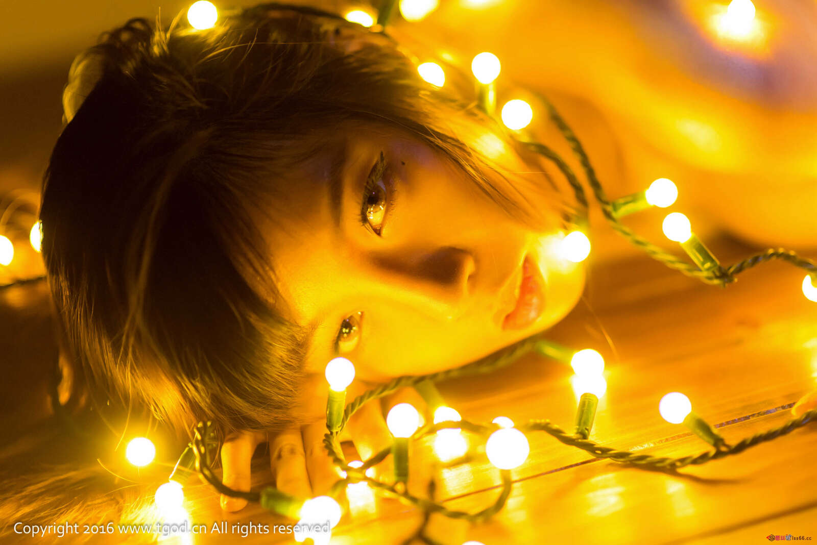 https://www.lss77.com/wp-content/uploads/2019/05/Meow喵喵哒-38-1-1600x1068.jpg