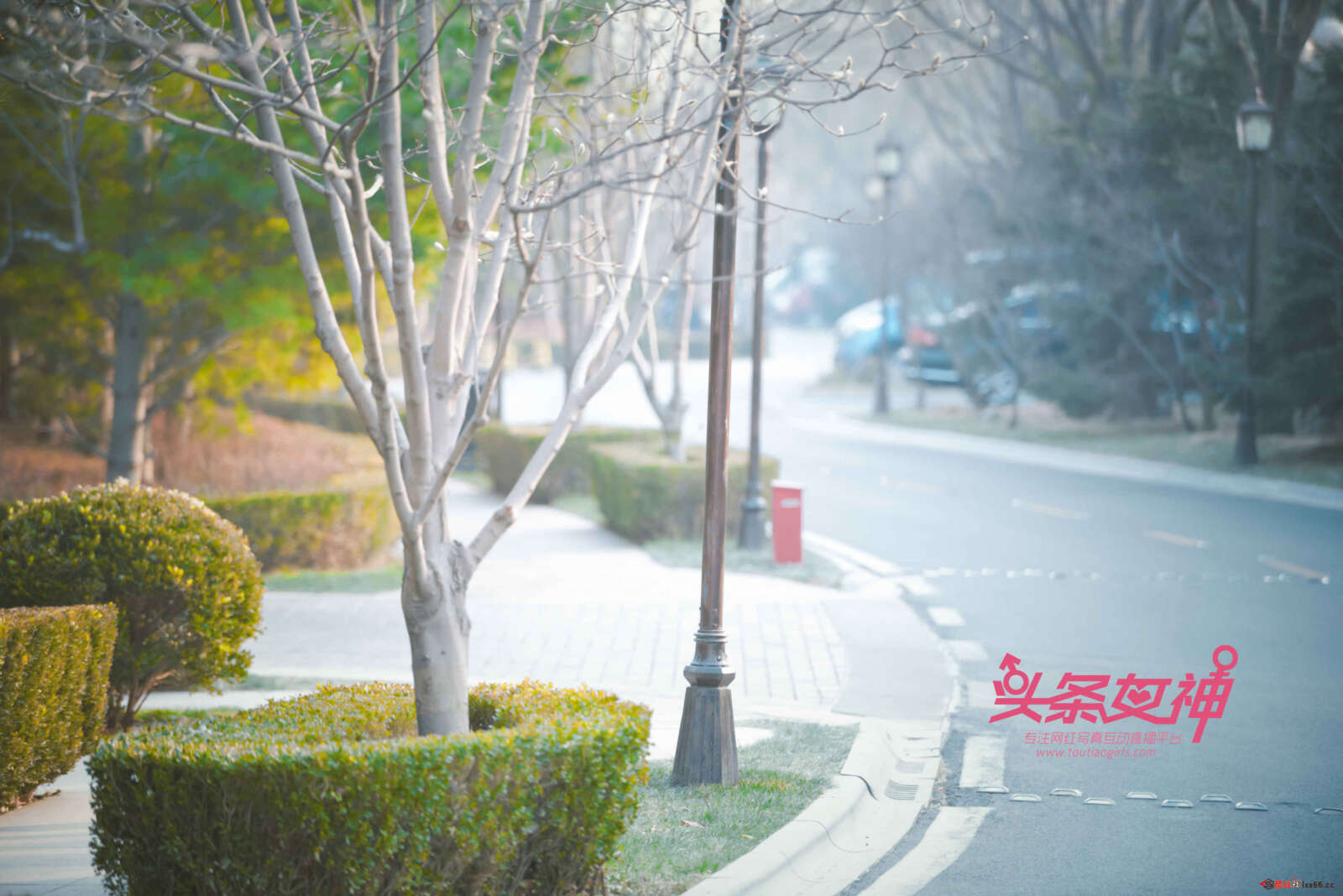 https://www.lss77.com/wp-content/uploads/2019/06/0001-58-1600x1068.jpg