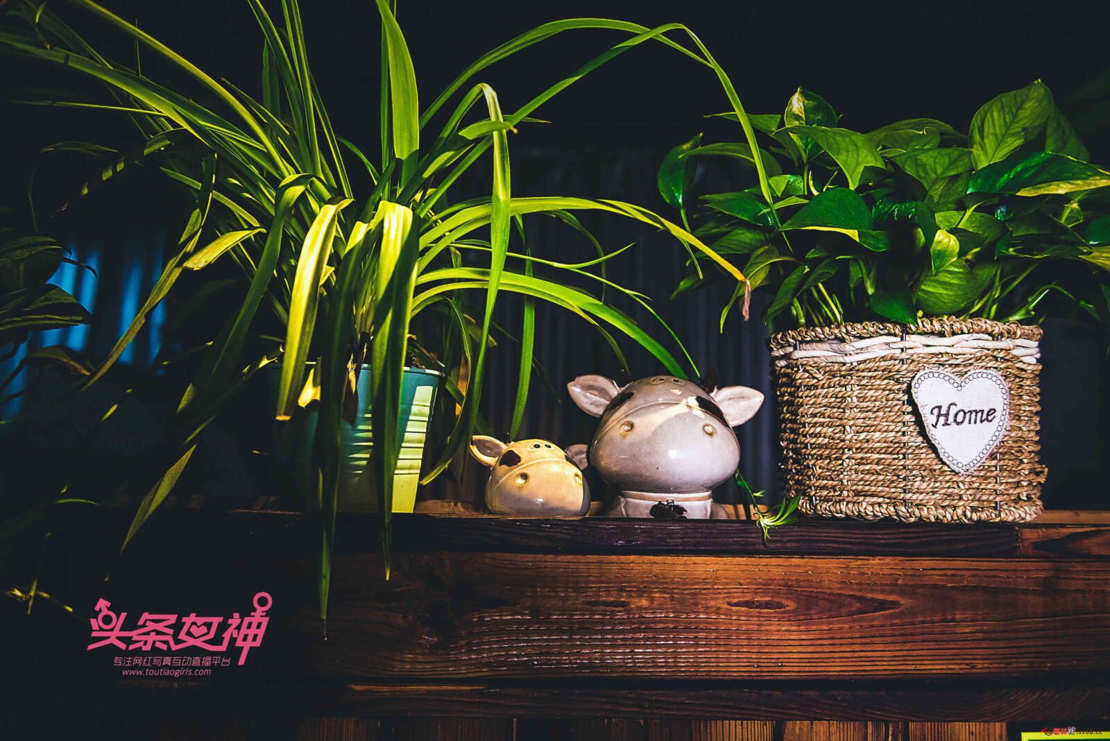 https://www.lss77.com/wp-content/uploads/2019/06/0006-45-1600x1068.jpg