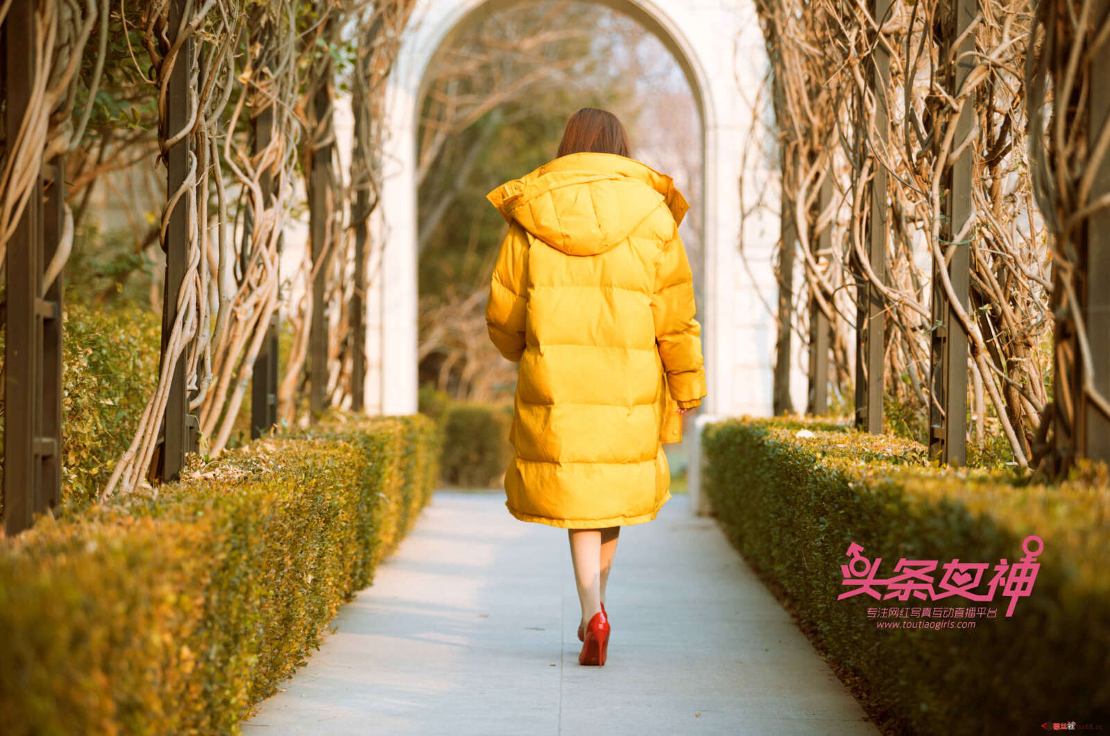 https://www.lss77.com/wp-content/uploads/2019/06/0035-9-1600x1061.jpg
