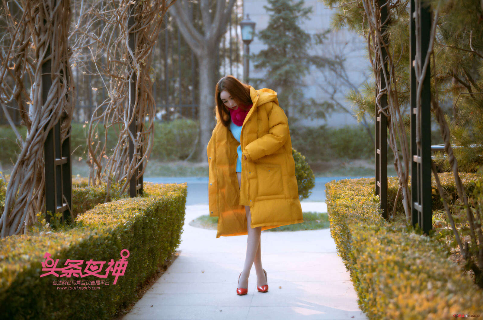 https://www.lss77.com/wp-content/uploads/2019/06/0039-8-1600x1061.jpg