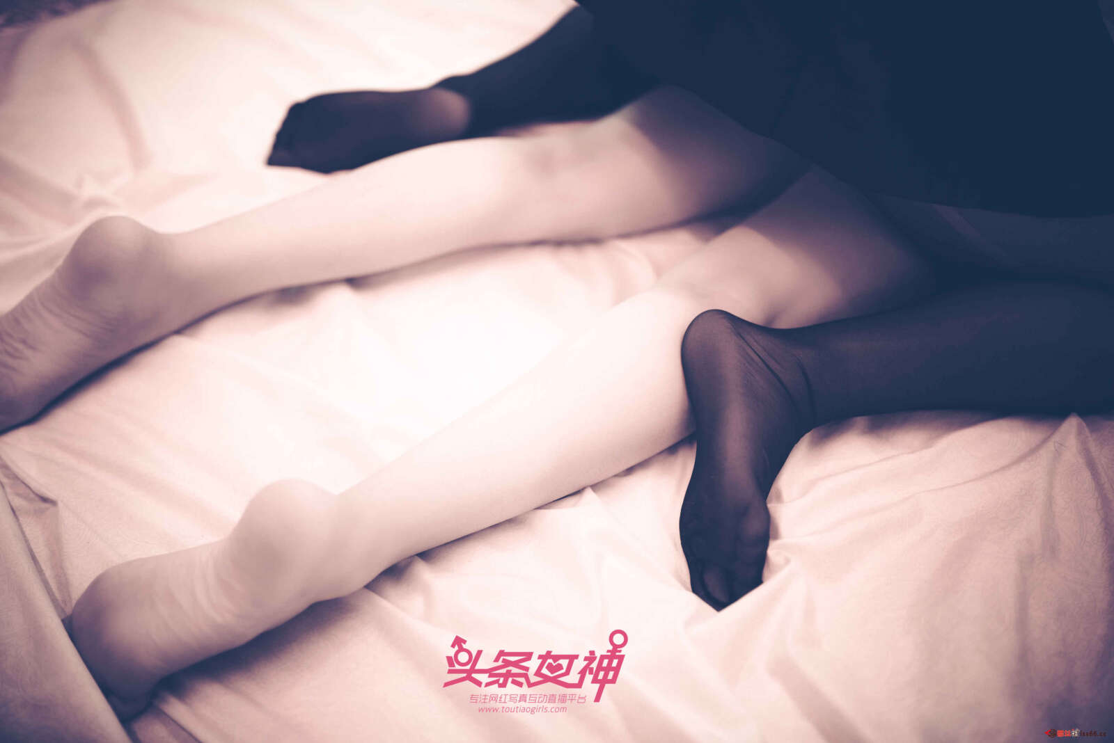 https://www.lss77.com/wp-content/uploads/2019/06/0039-9-1600x1068.jpg