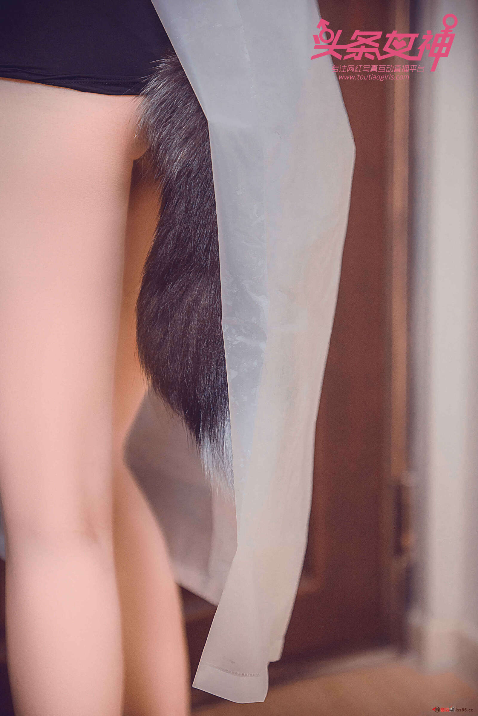 https://www.lss77.com/wp-content/uploads/2019/06/0045-3-1600x2396.jpg
