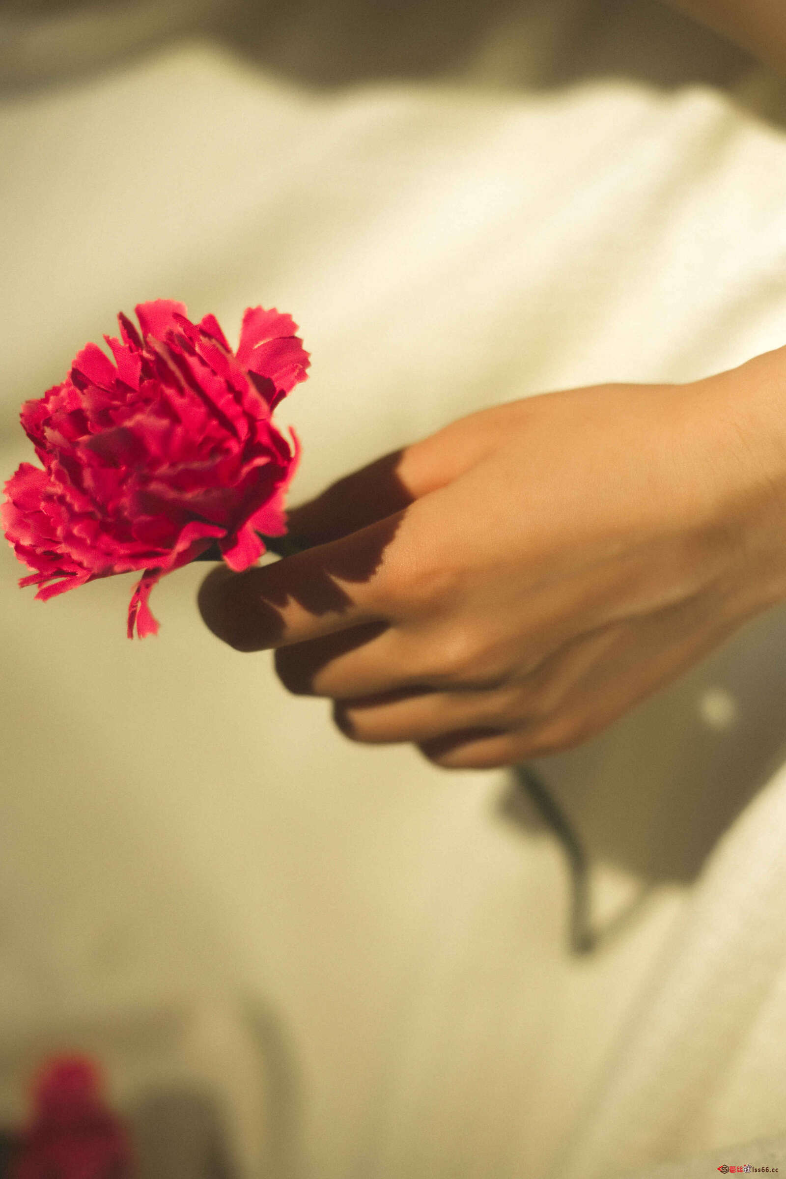 https://www.lss77.com/wp-content/uploads/2019/06/005-218-1600x2400.jpg