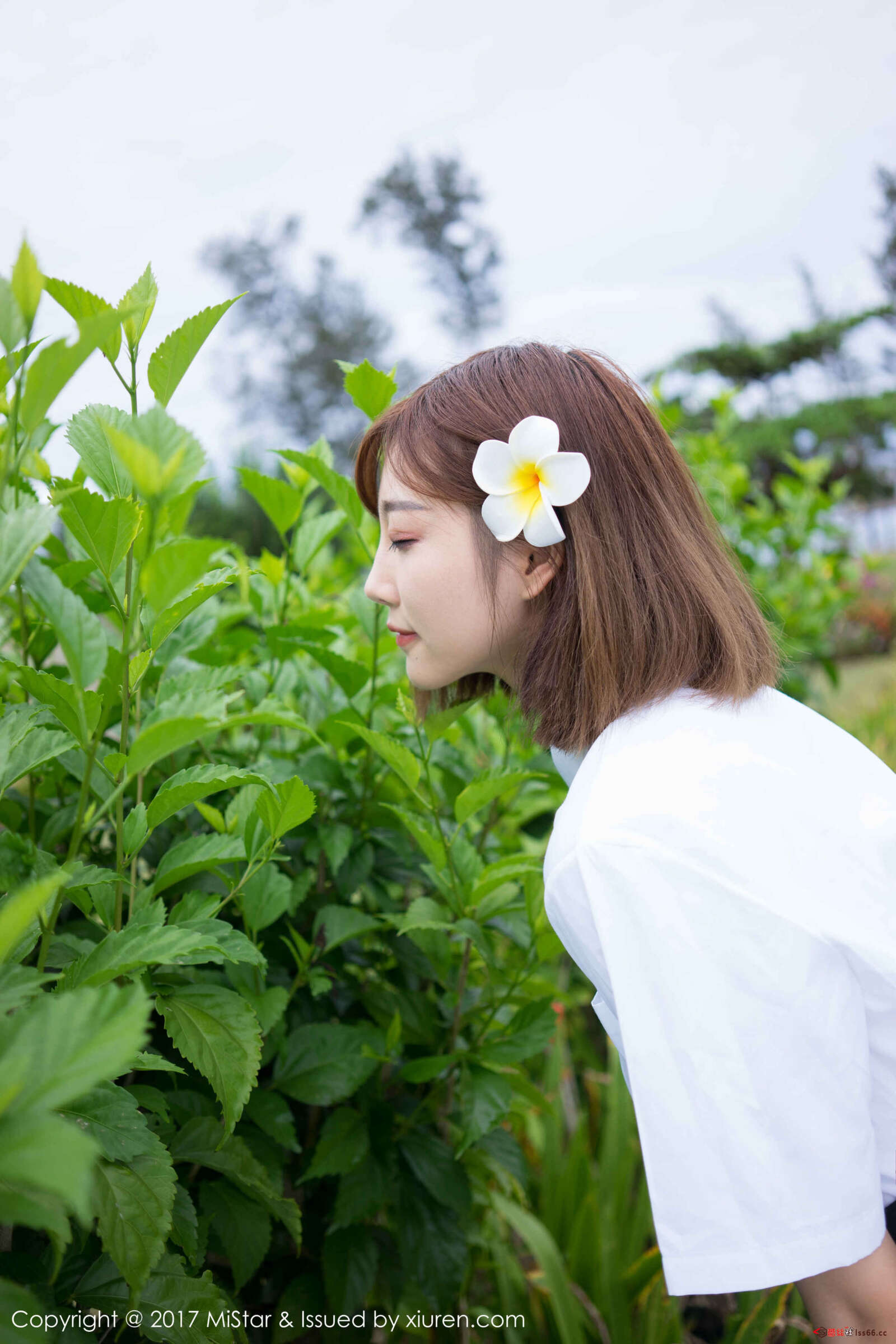 https://www.lss77.com/wp-content/uploads/2019/07/0007-101-1600x2400.jpg
