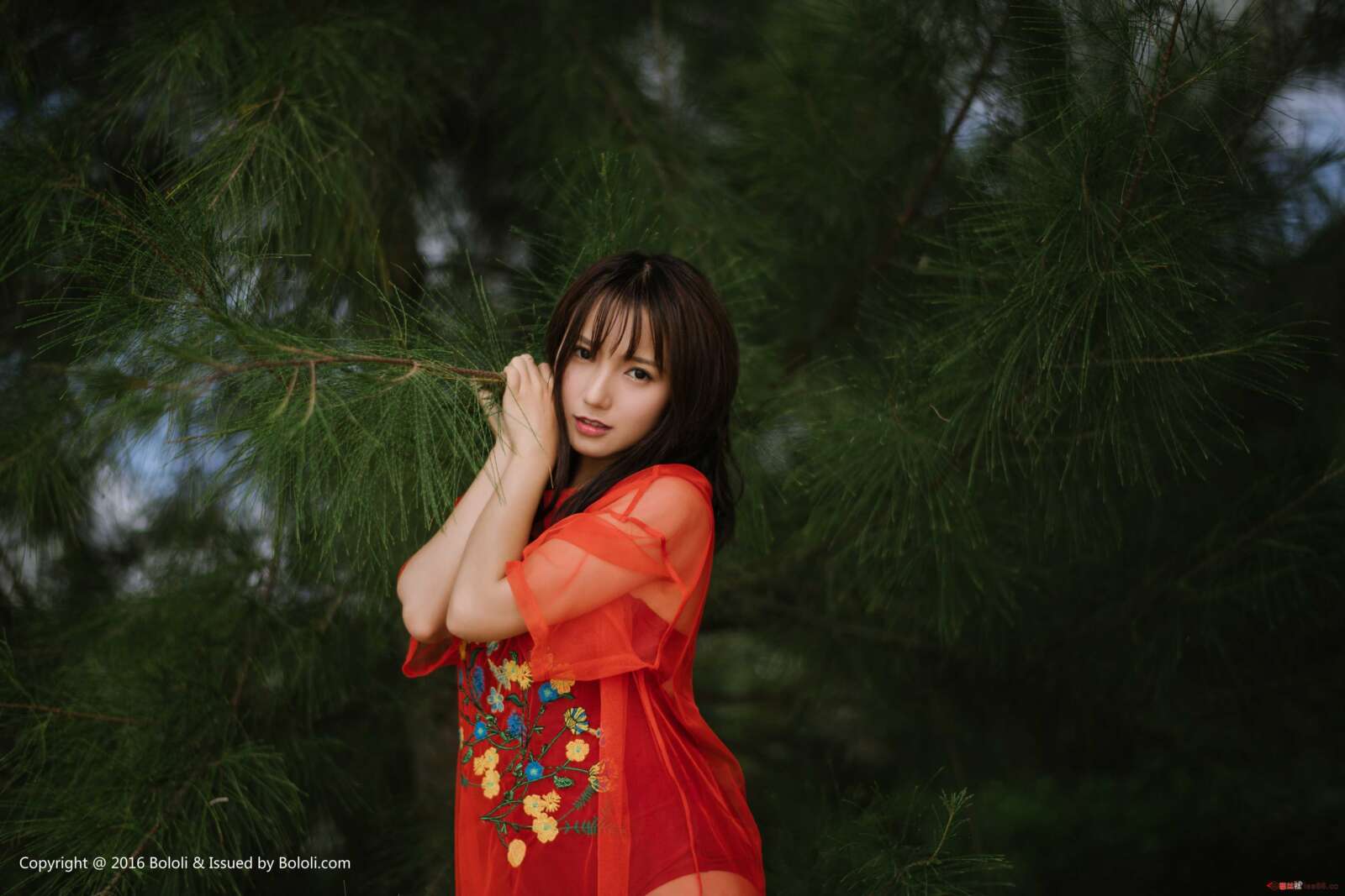 https://www.lss77.com/wp-content/uploads/2019/07/0012-306-1600x1067.jpg