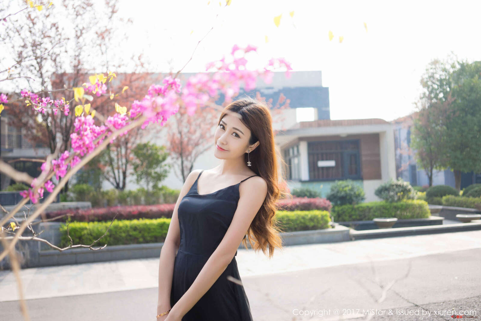 https://www.lss77.com/wp-content/uploads/2019/07/0014-217-1600x1067.jpg