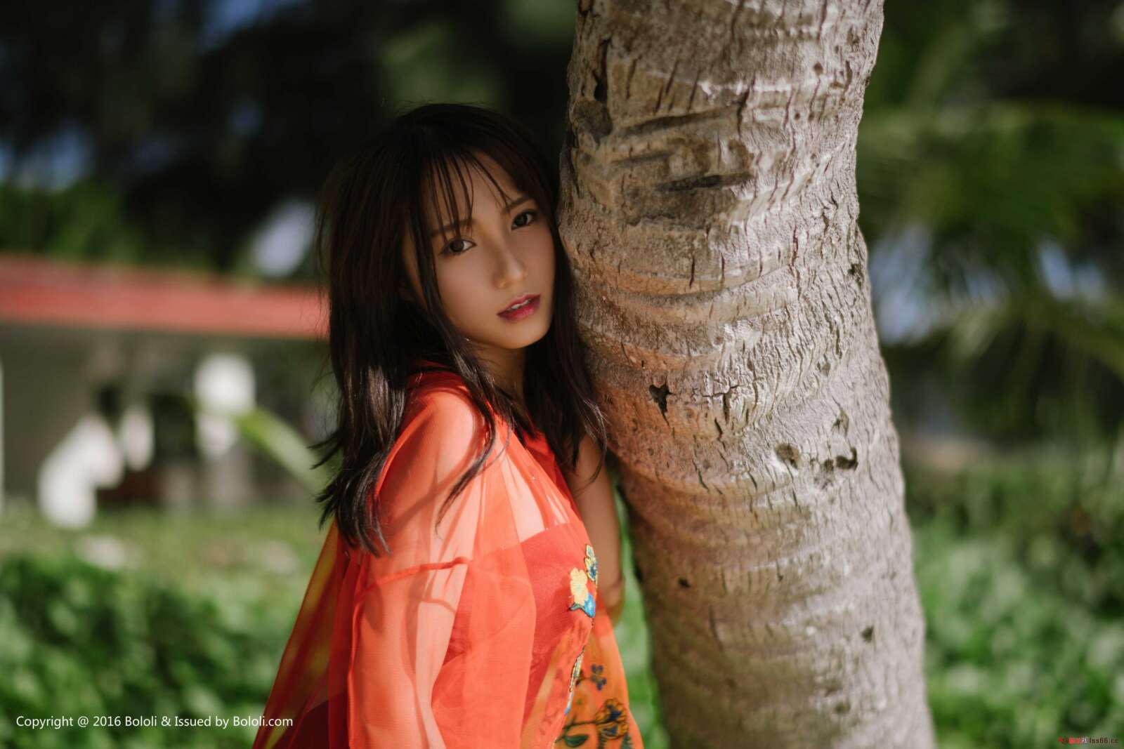 https://www.lss77.com/wp-content/uploads/2019/07/0016-307-1600x1067.jpg
