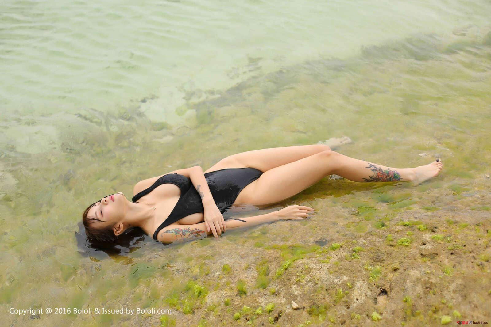 https://www.lss77.com/wp-content/uploads/2019/07/0017-334-1600x1067.jpg