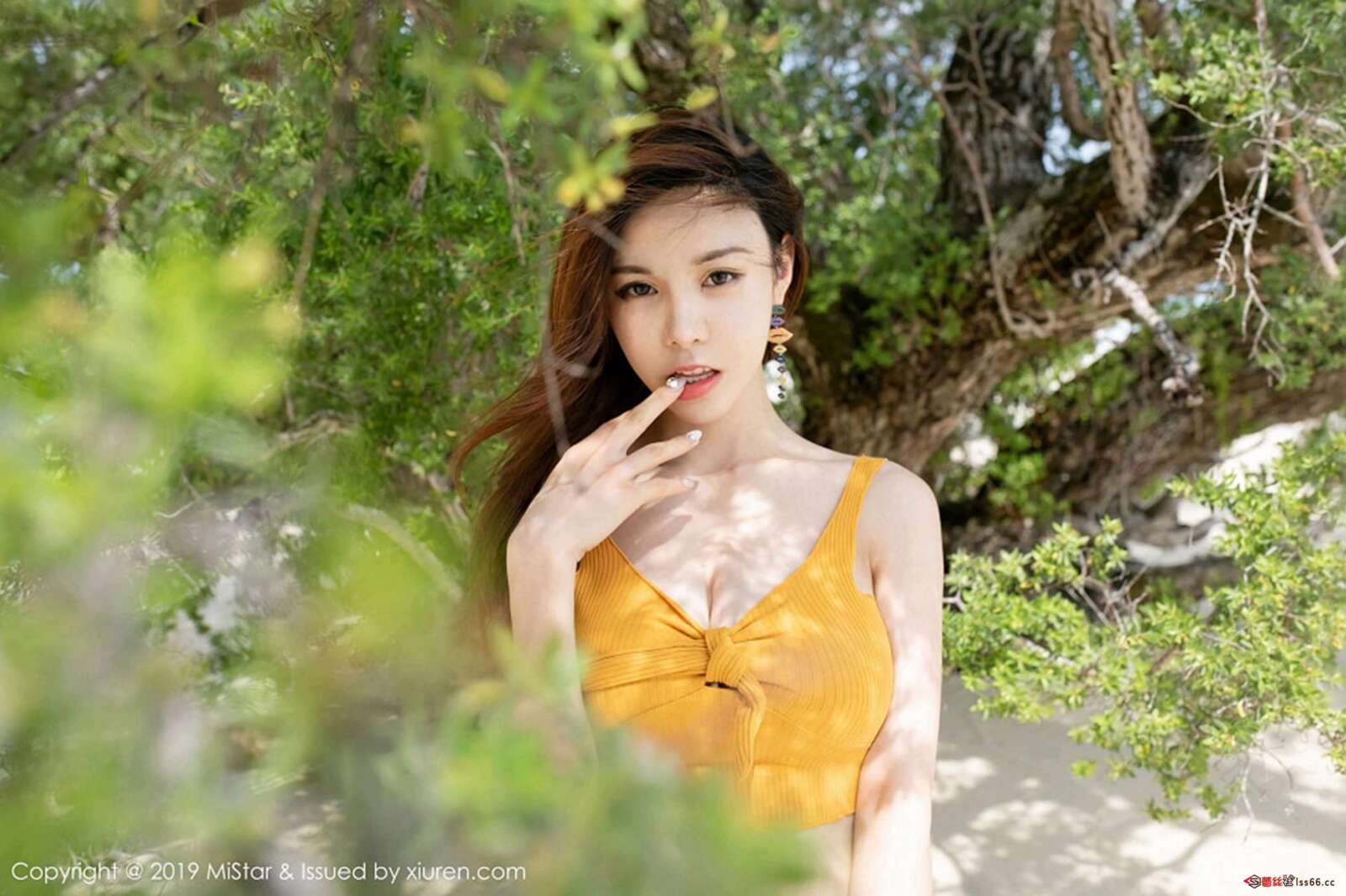 https://www.lss77.com/wp-content/uploads/2019/07/0021-174-1600x1066.jpg