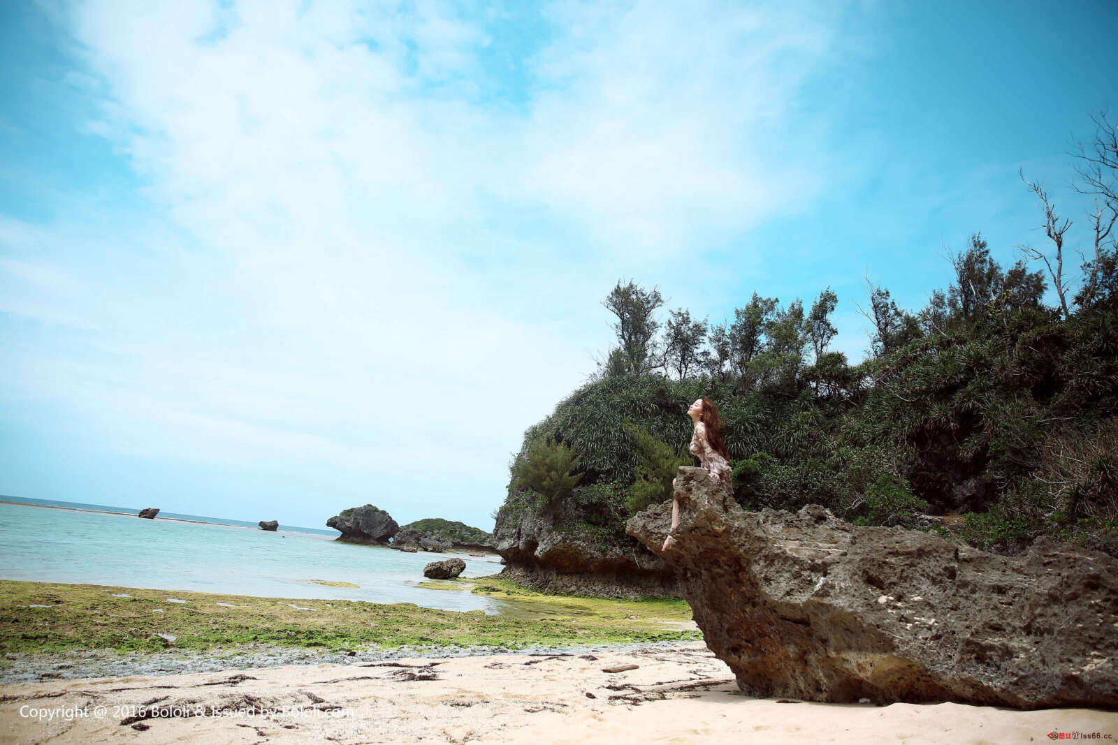 https://www.lss77.com/wp-content/uploads/2019/07/0022-301-1600x1067.jpg