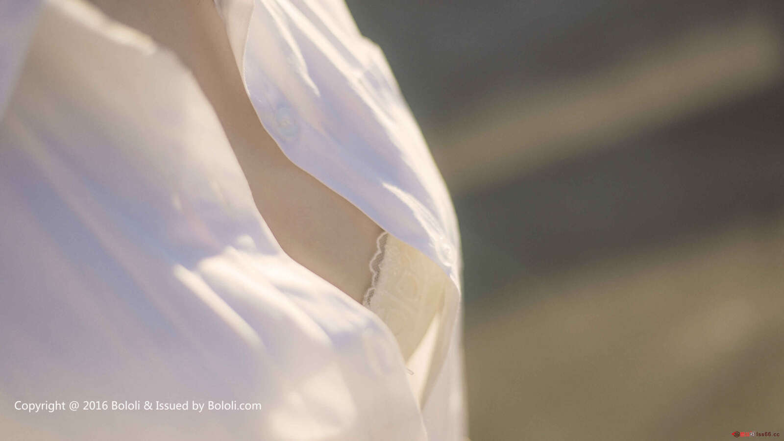 https://www.lss77.com/wp-content/uploads/2019/07/0022-320-1600x900.jpg