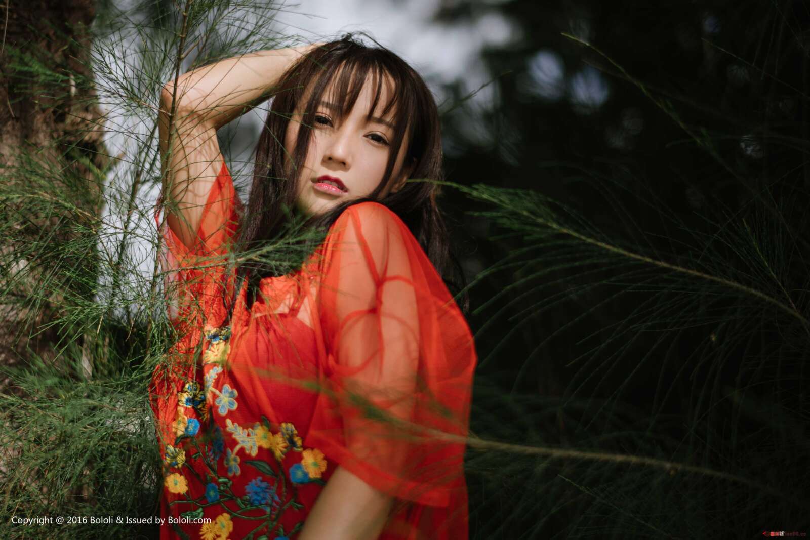 https://www.lss77.com/wp-content/uploads/2019/07/0023-307-1600x1067.jpg