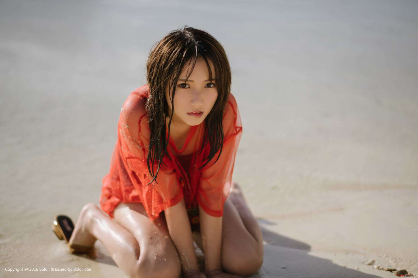 https://www.lss77.com/wp-content/uploads/2019/07/0027-306-1600x1066.jpg