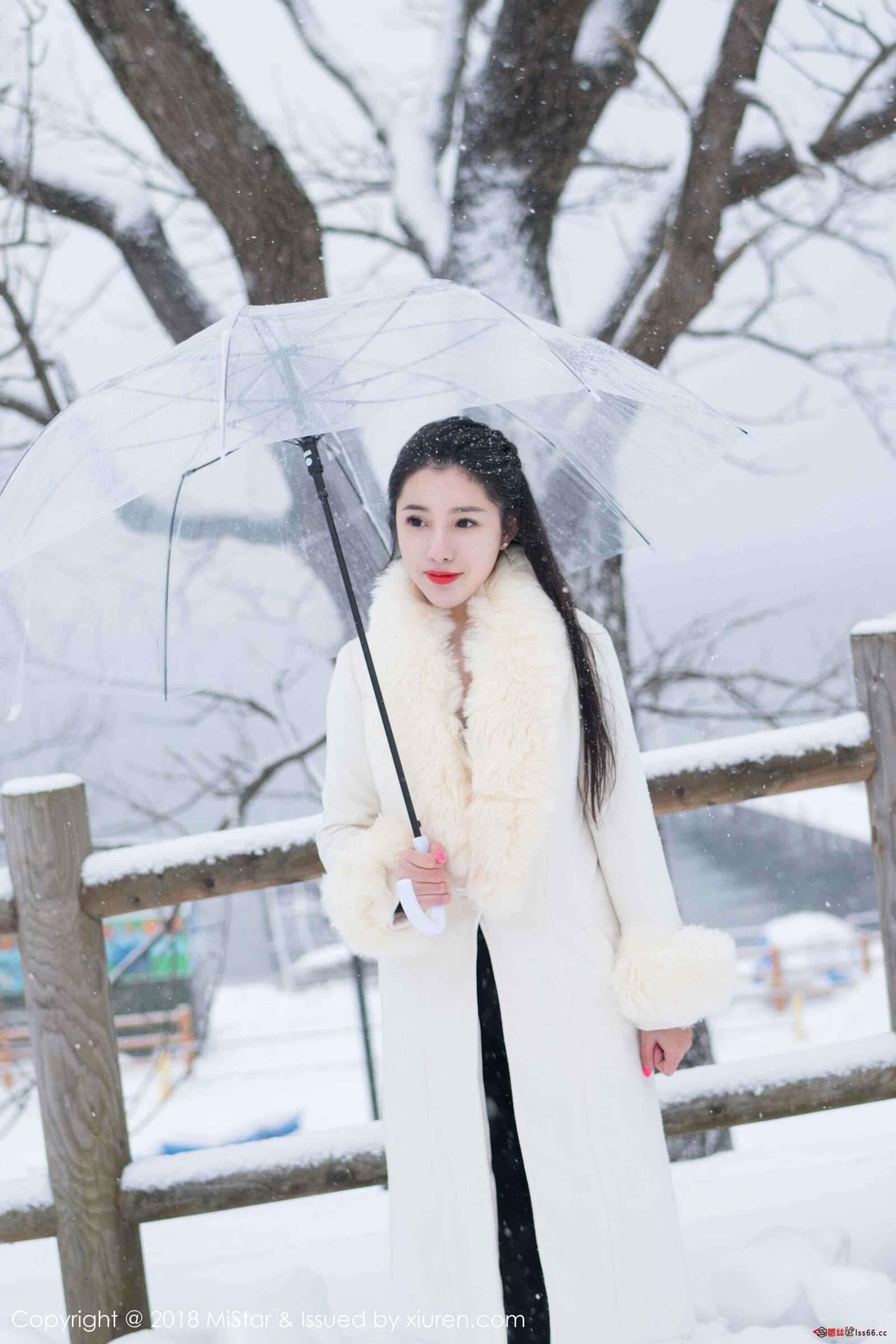 https://www.lss77.com/wp-content/uploads/2019/07/0028-232-1600x2400.jpg