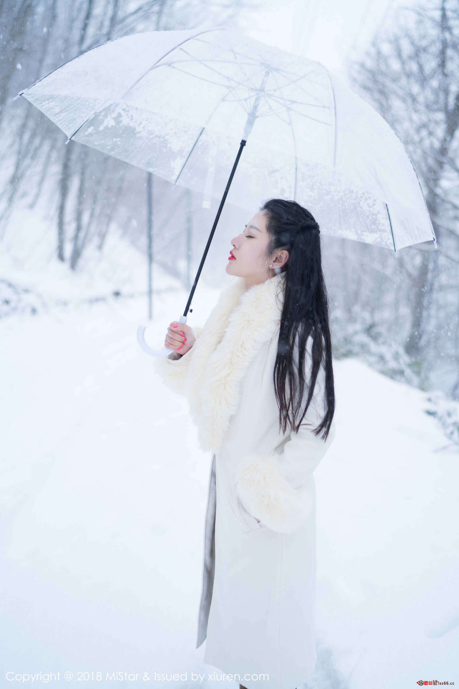 https://www.lss77.com/wp-content/uploads/2019/07/0031-229-1600x2400.jpg