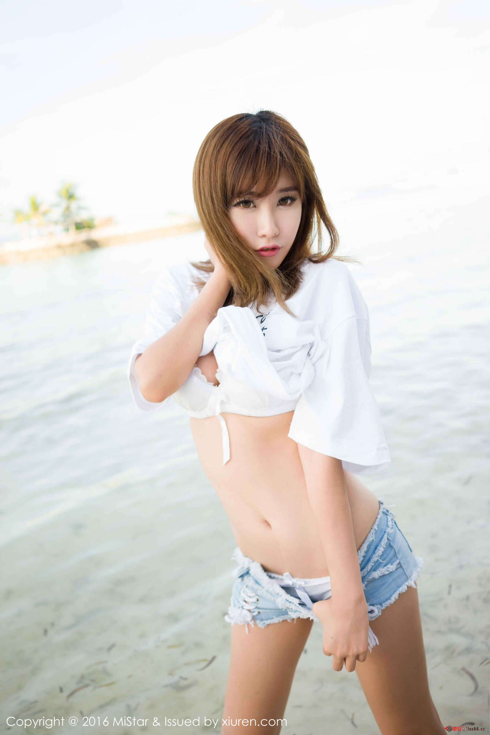https://www.lss77.com/wp-content/uploads/2019/07/063_026_qs3_h-1600x2400.jpg