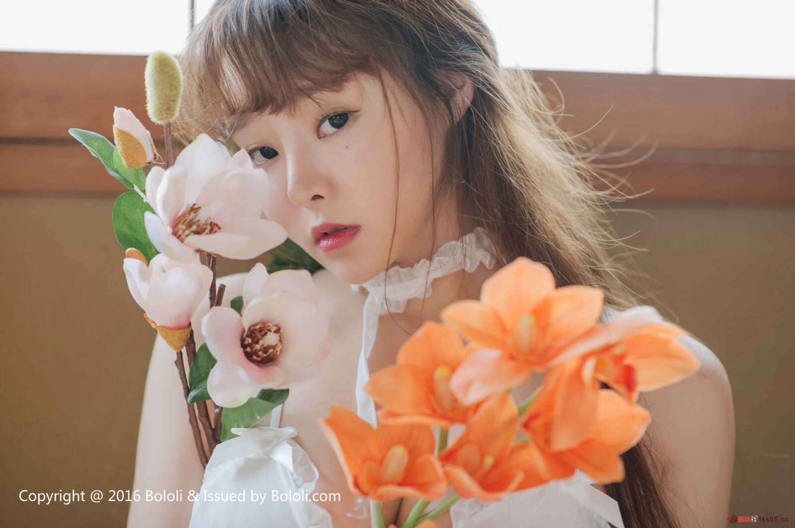 https://www.lss77.com/wp-content/uploads/2019/08/0001-20-1600x1064.jpg