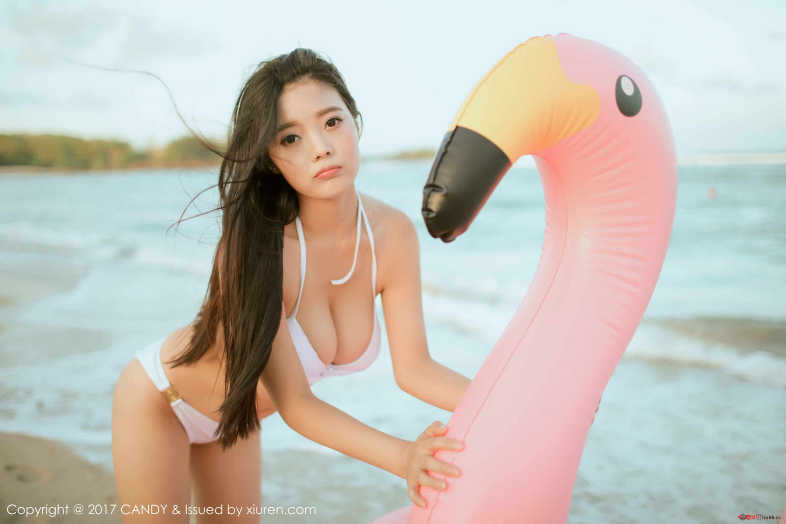 https://www.lss77.com/wp-content/uploads/2019/08/0003-261-1600x1067.jpg