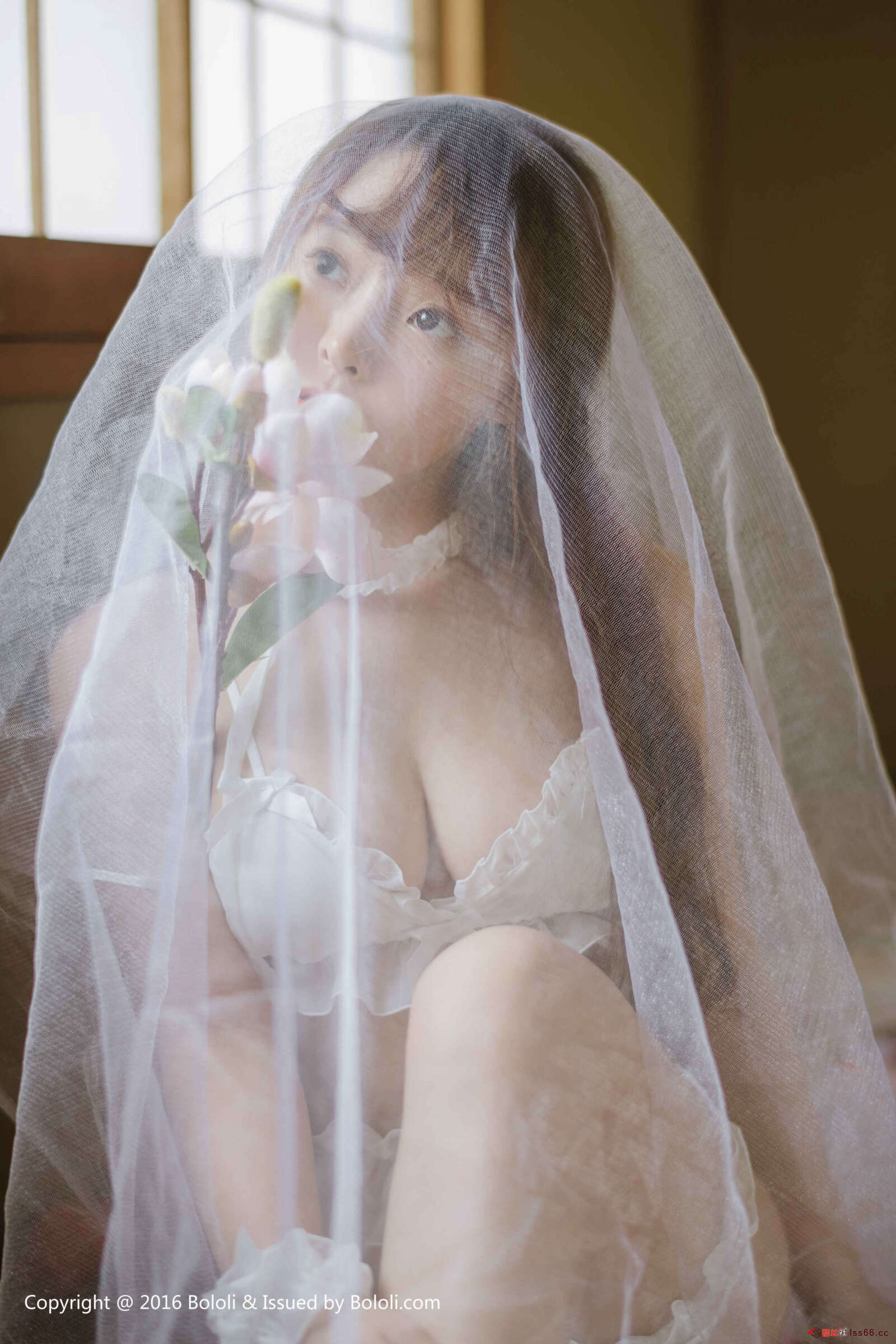 https://www.lss77.com/wp-content/uploads/2019/08/0004-21-1600x2400.jpg