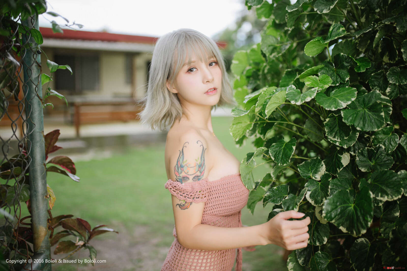 https://www.lss77.com/wp-content/uploads/2019/08/0009-20-1600x1067.jpg