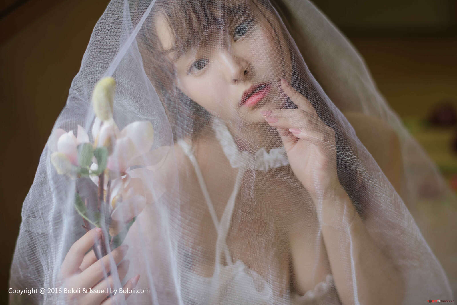 https://www.lss77.com/wp-content/uploads/2019/08/0009-21-1600x1067.jpg