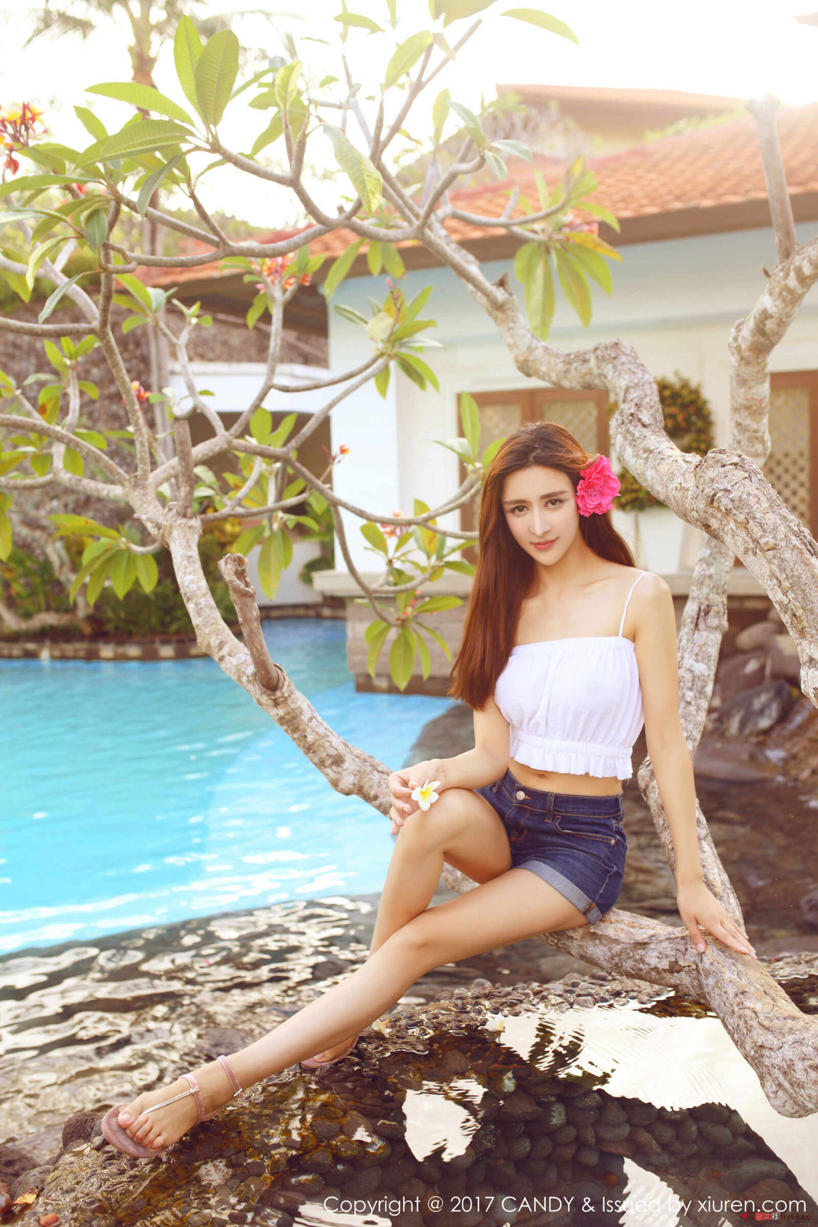 https://www.lss77.com/wp-content/uploads/2019/08/0012-291-1600x2400.jpg