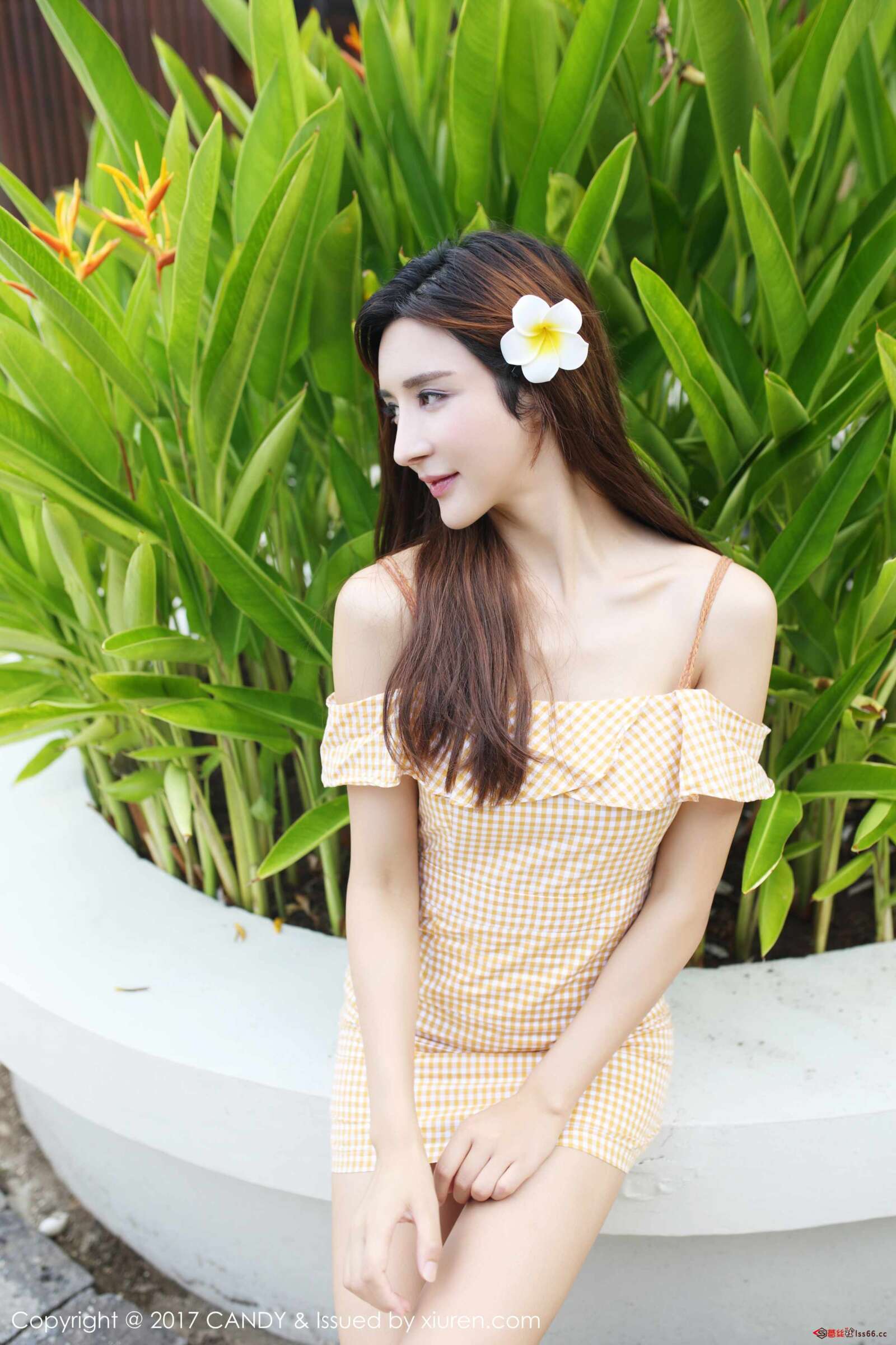 https://www.lss77.com/wp-content/uploads/2019/08/0013-268-1600x2400.jpg