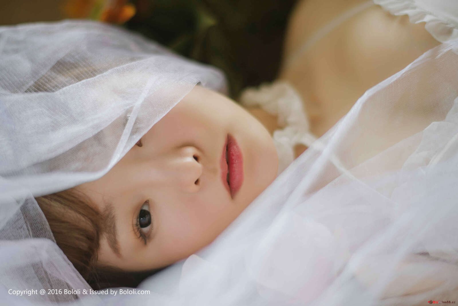 https://www.lss77.com/wp-content/uploads/2019/08/0021-21-1600x1067.jpg