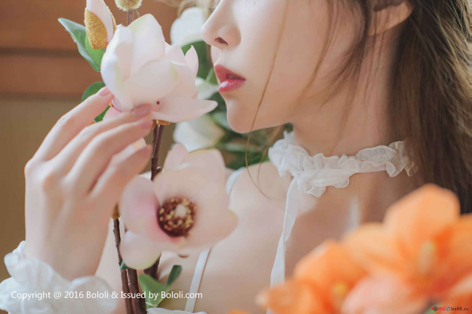 https://www.lss77.com/wp-content/uploads/2019/08/0024-21-1600x1064.jpg