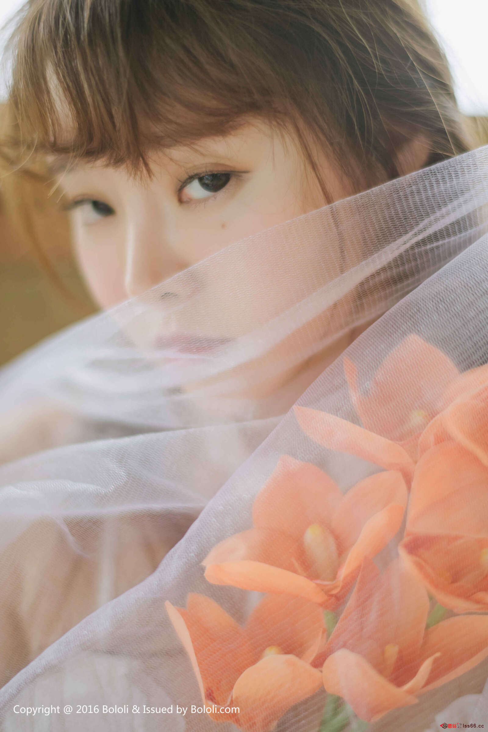 https://www.lss77.com/wp-content/uploads/2019/08/0028-18-1600x2400.jpg