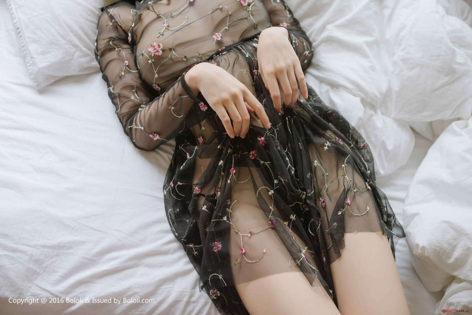 https://www.lss77.com/wp-content/uploads/2019/08/0030-26-1600x1067.jpg
