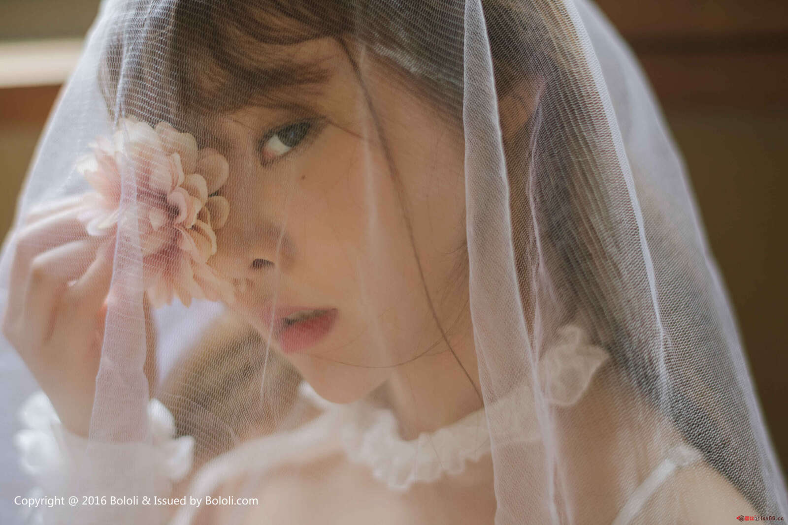 https://www.lss77.com/wp-content/uploads/2019/08/0031-19-1600x1067.jpg