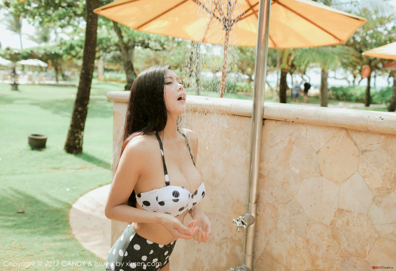 https://www.lss77.com/wp-content/uploads/2019/08/0033-249-1600x1097.jpg