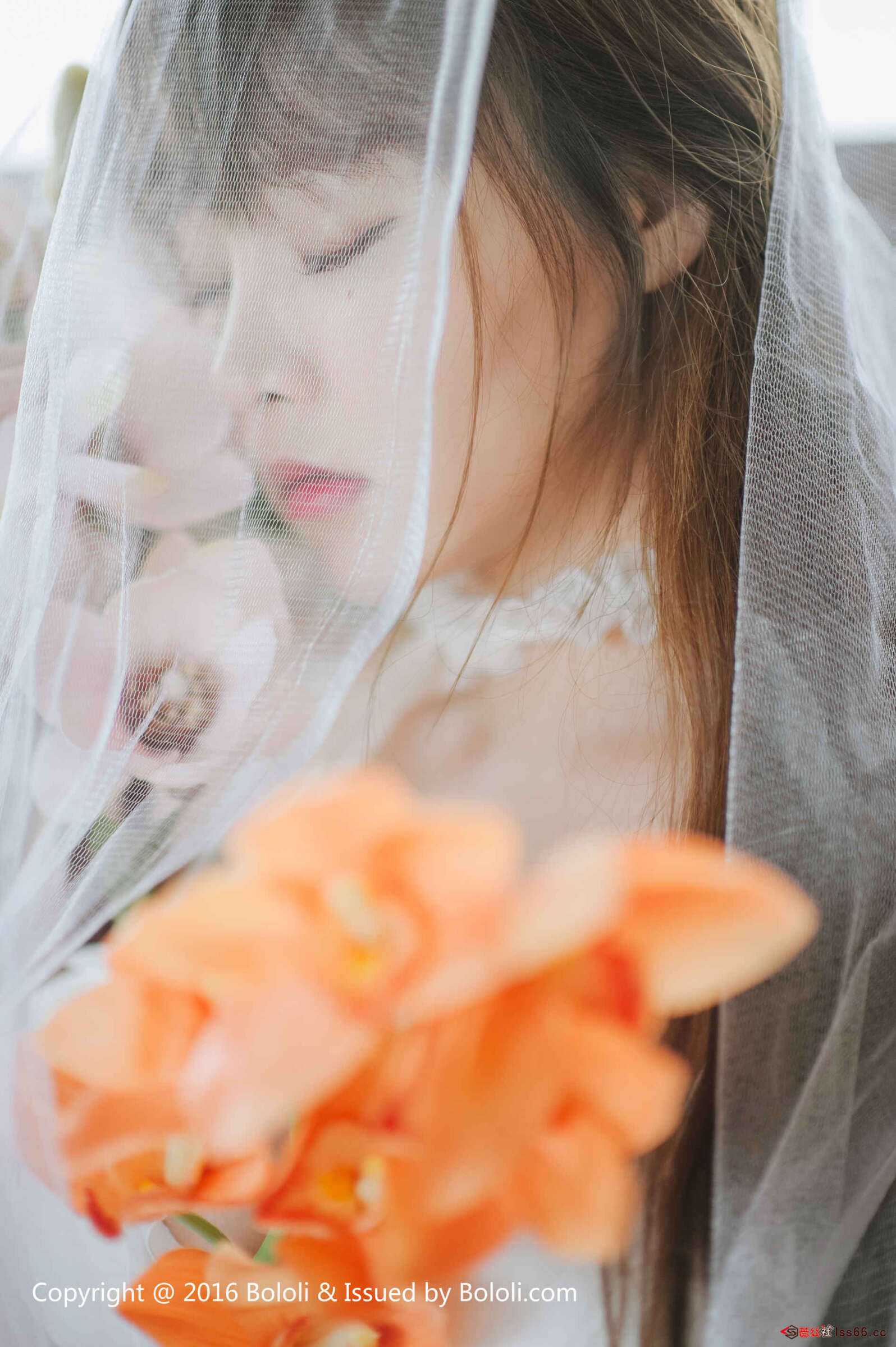 https://www.lss77.com/wp-content/uploads/2019/08/0034-18-1596x2400.jpg