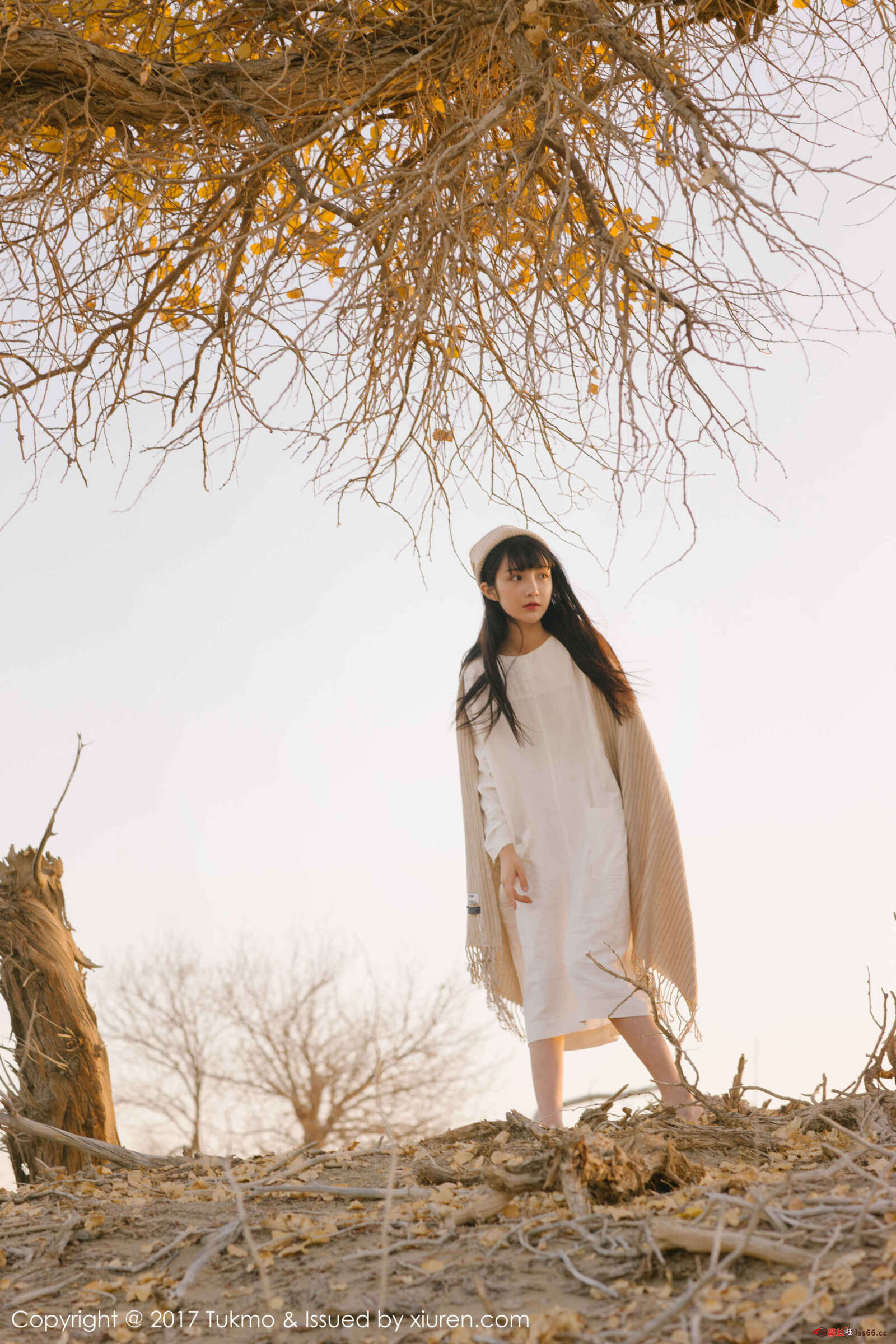 https://www.lss77.com/wp-content/uploads/2019/08/0035-22-1600x2400.jpg