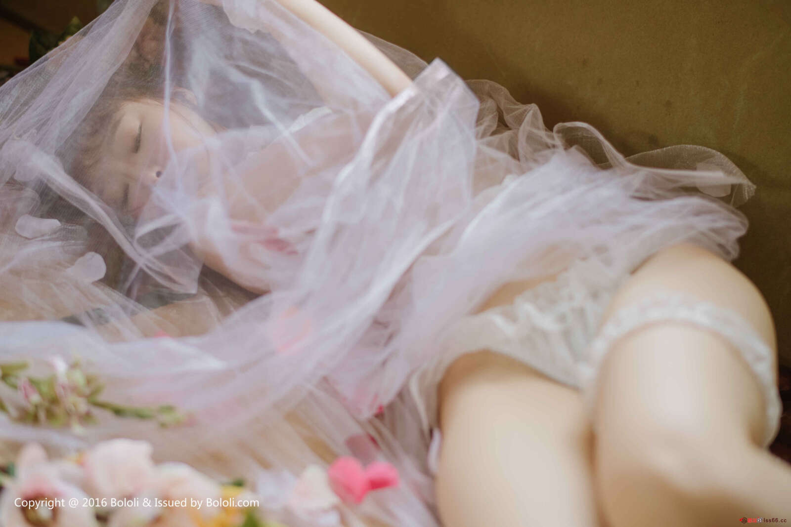 https://www.lss77.com/wp-content/uploads/2019/08/0036-18-1600x1067.jpg