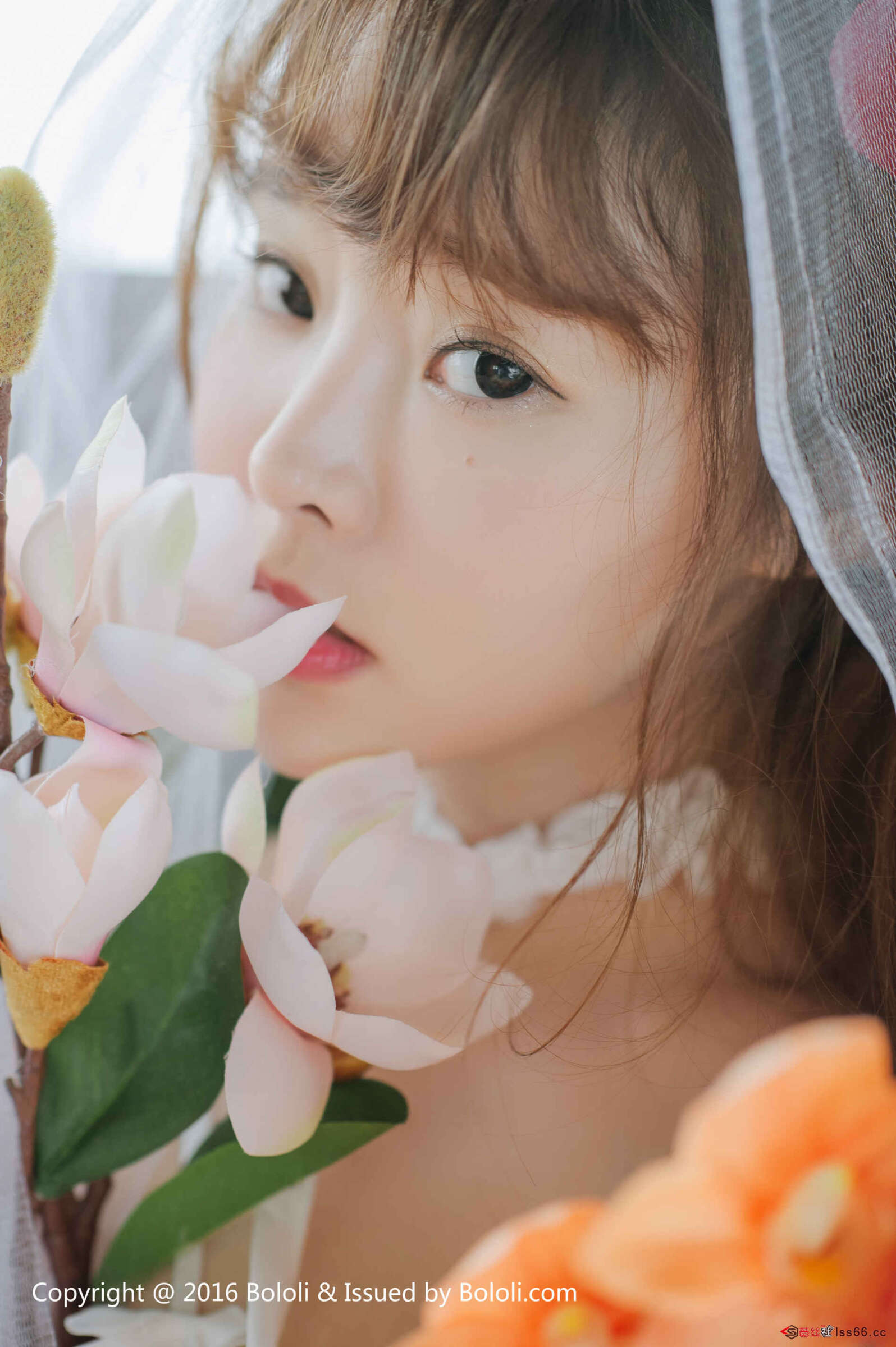 https://www.lss77.com/wp-content/uploads/2019/08/0041-13-1596x2400.jpg