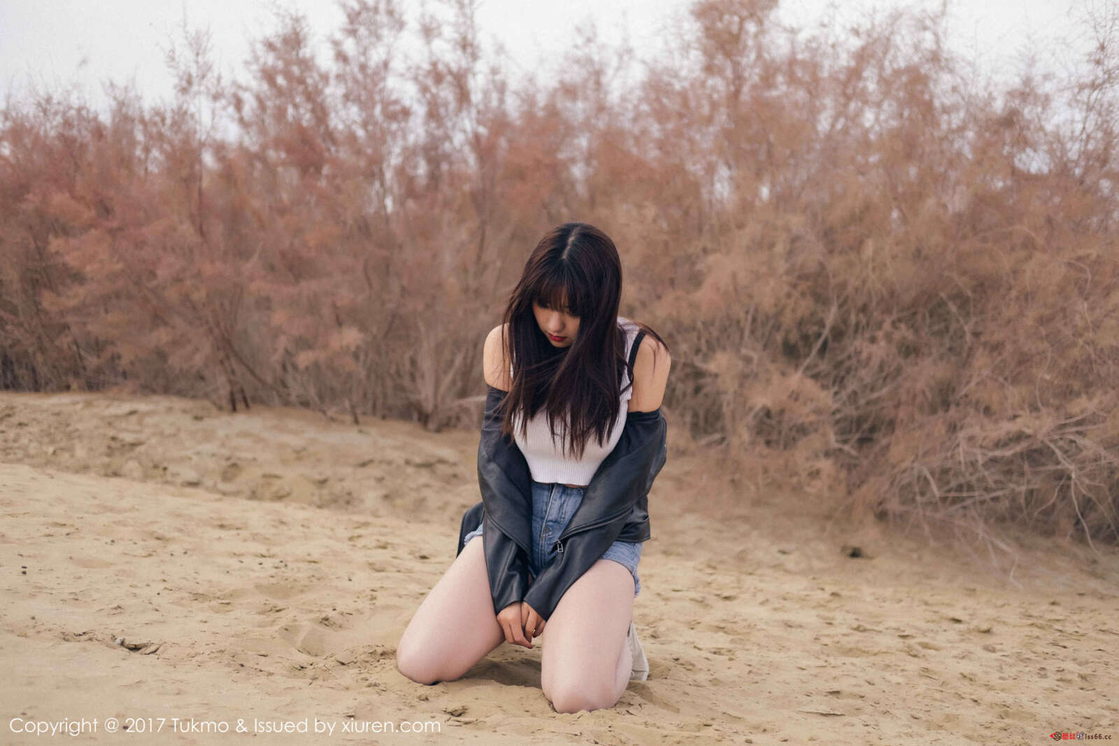 https://www.lss77.com/wp-content/uploads/2019/08/0052-3-1600x1067.jpg
