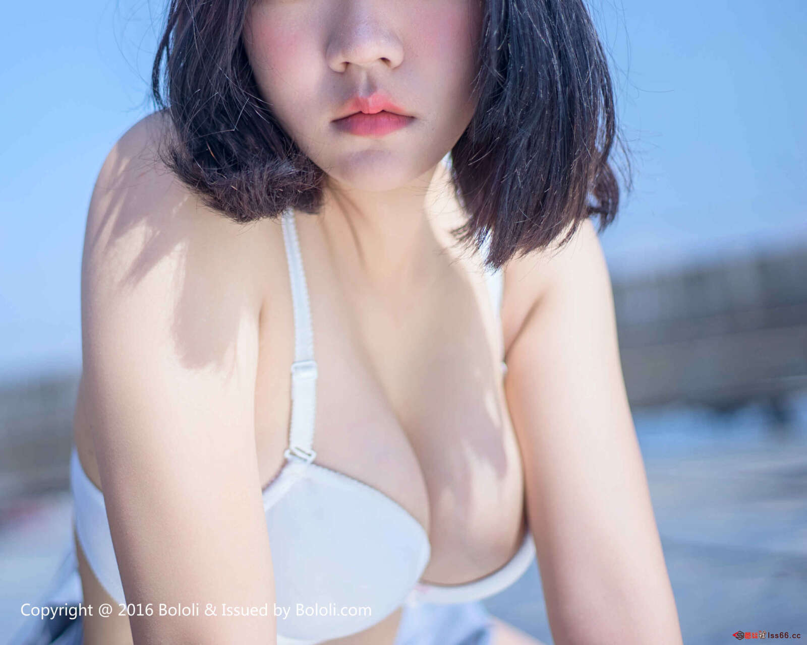 https://www.lss77.com/wp-content/uploads/2019/08/1-28-1600x1280.jpg