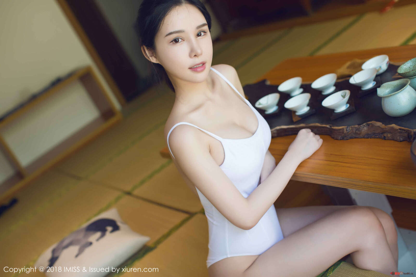 https://www.lss77.com/wp-content/uploads/2019/11/0020-67-1600x1067.jpg