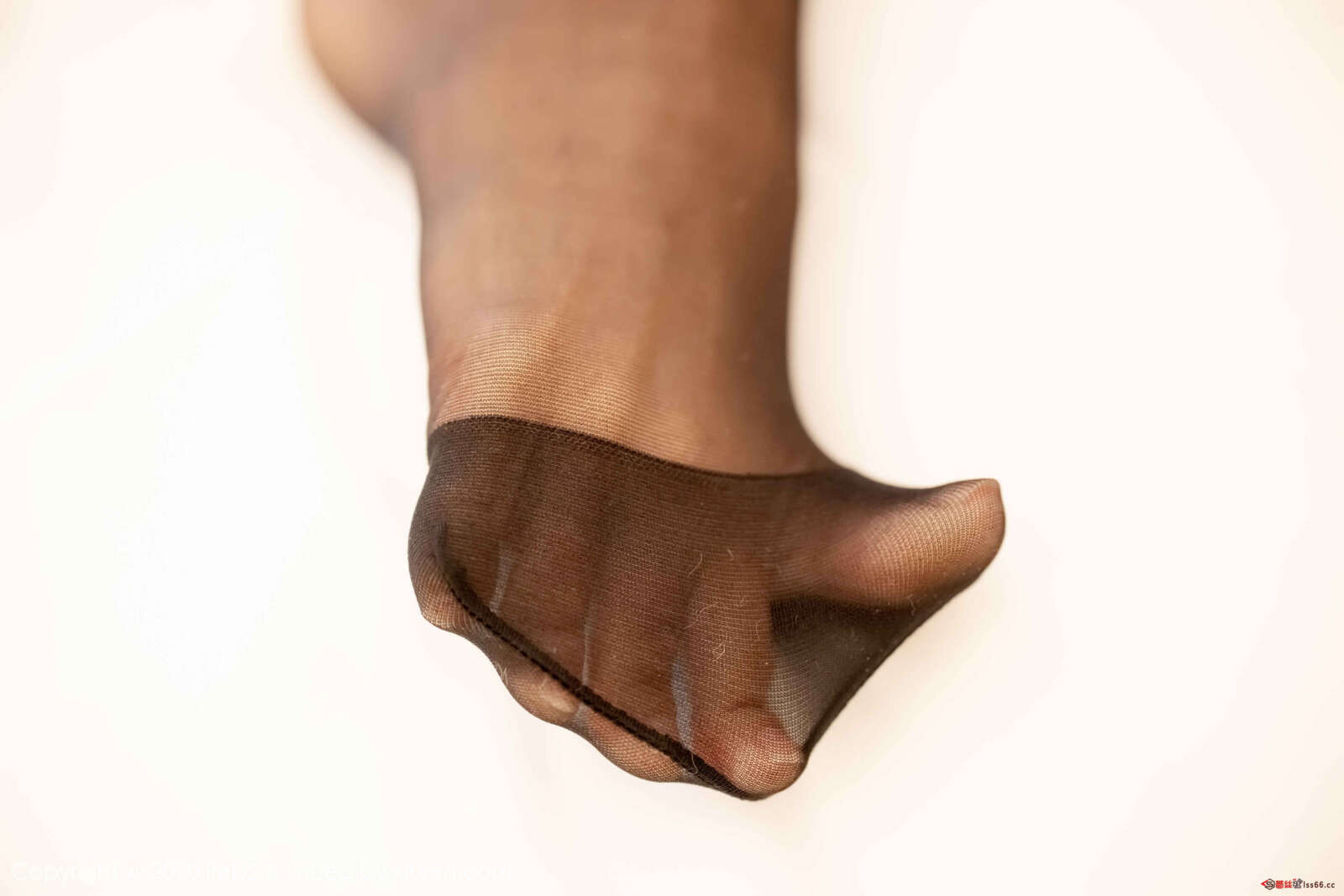 https://www.lss77.com/wp-content/uploads/2019/11/0025-248-1600x1067.jpg