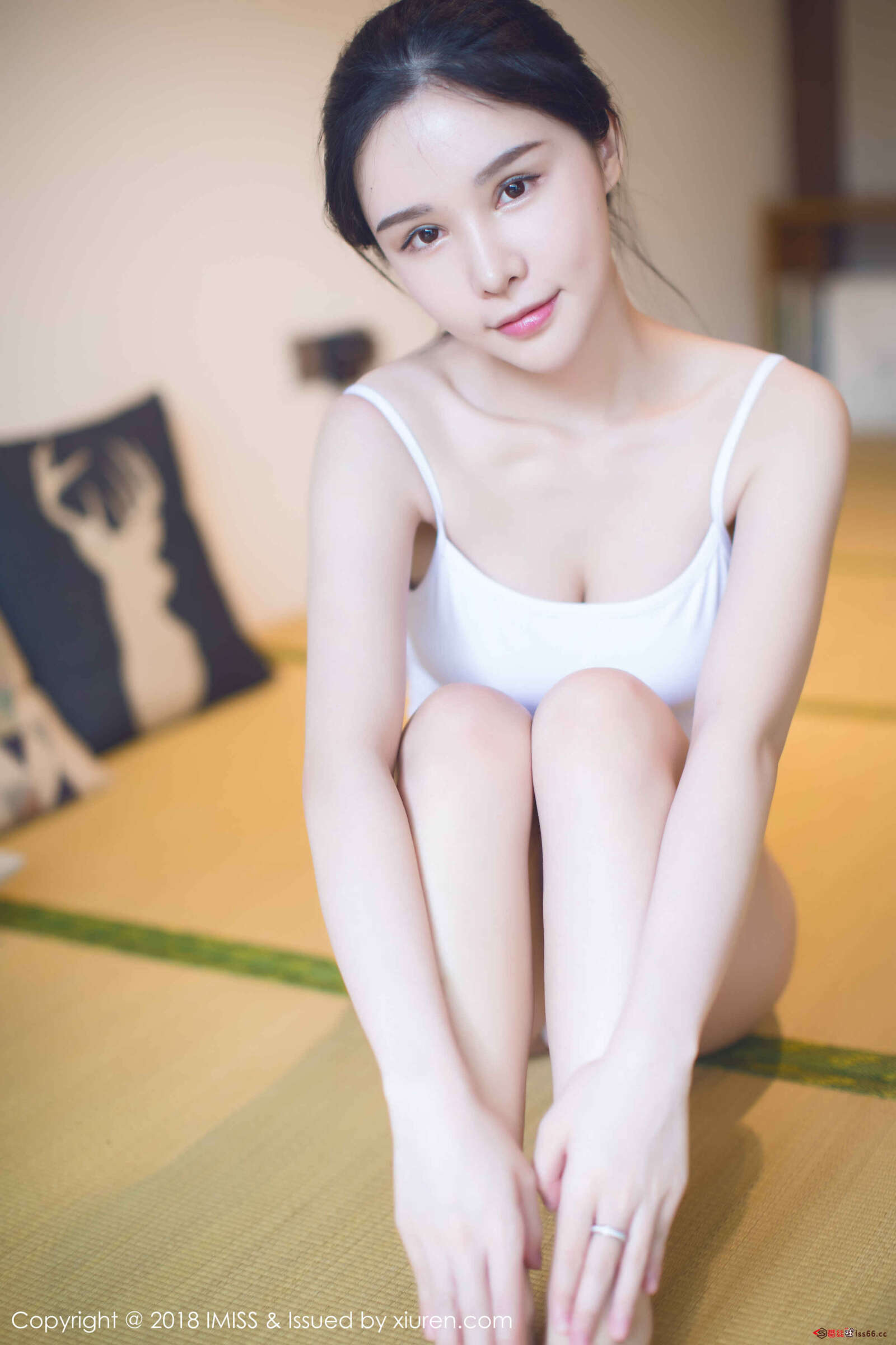 https://www.lss77.com/wp-content/uploads/2019/11/0030-66-1600x2400.jpg