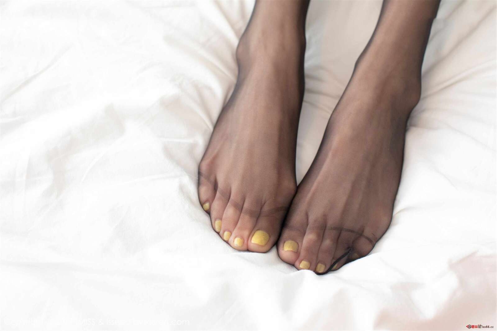 https://www.lss77.com/wp-content/uploads/2019/11/0037-119-1600x1067.jpg