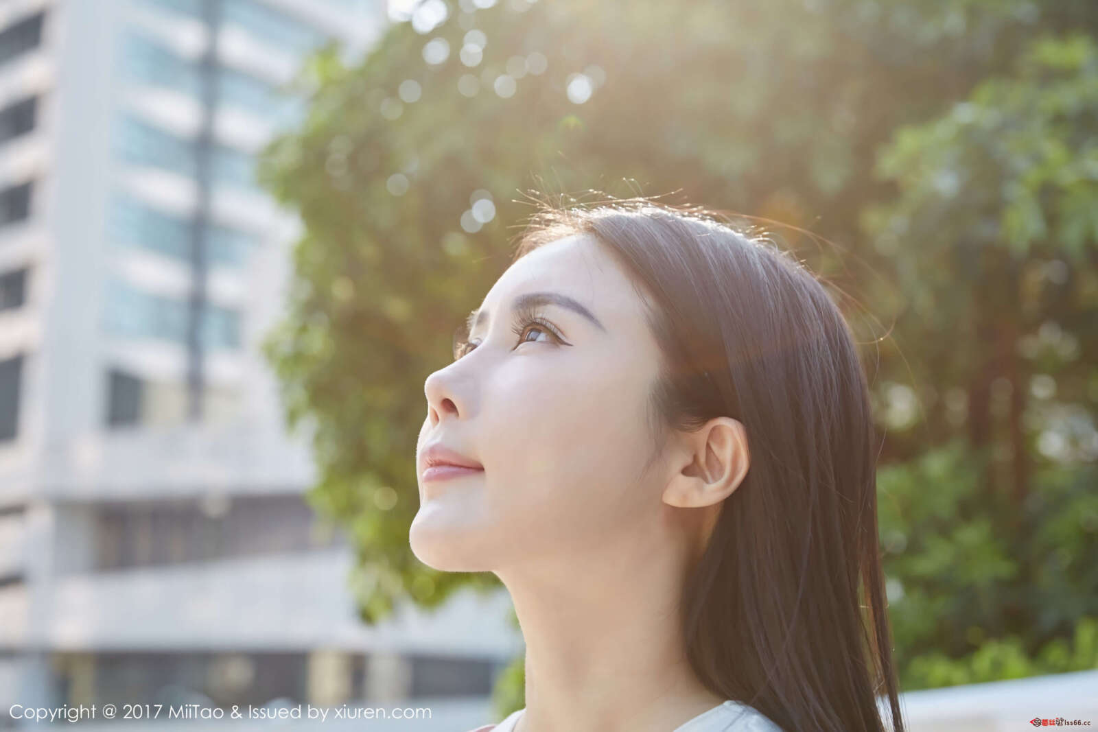 https://www.lss77.com/wp-content/uploads/2019/11/08-4-1600x1067.jpg