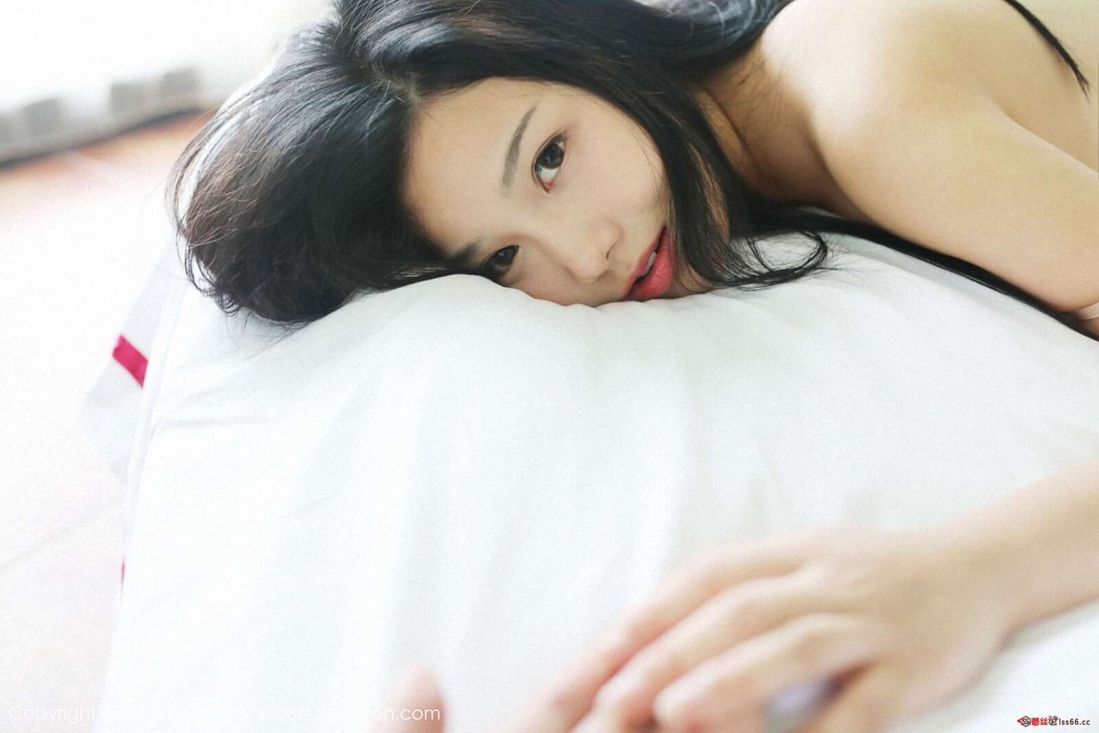 https://www.lss77.com/wp-content/uploads/2019/12/0035-125-1600x1067.jpg